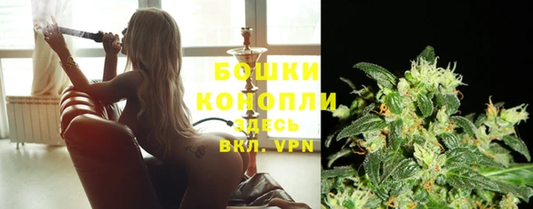 тгк Белокуриха