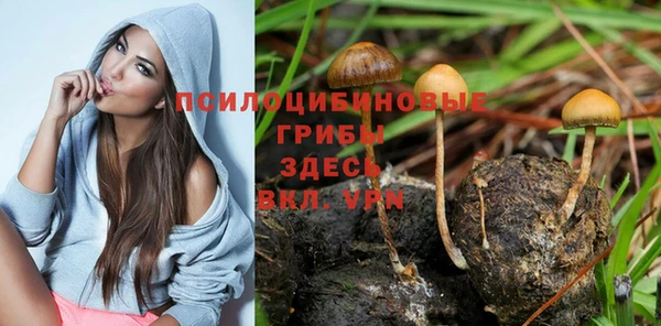 тгк Белокуриха